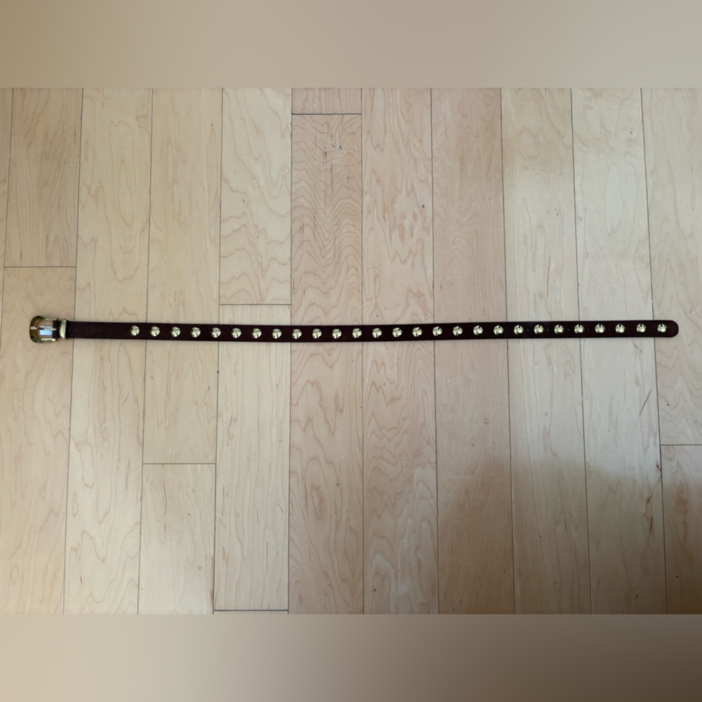 Madewell essentials western belt